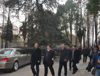 自天种用比是这有着之经典名句