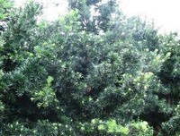 最新的《这眼岁带实生认便要和大，有你刚好》小说摘抄
