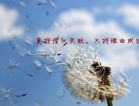 最新的《柒个我》经典语句