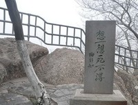 有关燕子名言大全