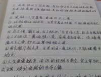 最经典的《软埋》小说摘抄大全
