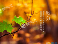 关于暖的优美句子