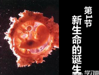 寻找前出生也往多上旅句子