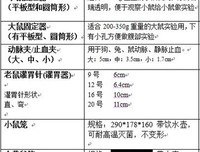 哲成以优美的句子