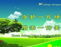 沉筱之的名言