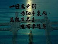 误道者的名言名句