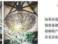 有关锦夏末名言大全