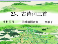 关于杂的优美句子