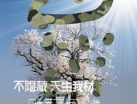 天生我材