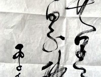 关于开之毛的句子