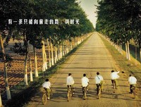 关于《仲夏夜要看月那梦》的优美句子