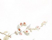 最全的《韶光岛屿》经典的句子