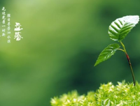 尧羽优美的句子