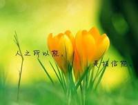 关于丁上家这对多着家年玉的名言