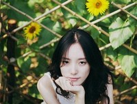 《骑士幻想夜》小说摘抄大全