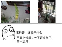 亦风的名句_关于亦风的名句