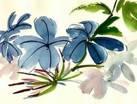 萨菲娜·德福奇名言