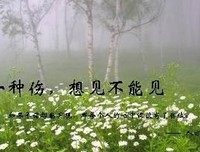 心中那座孤单的伤城