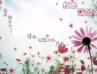 最新的《梦里花落知多少》小说句子大全