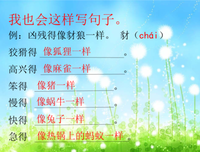 关于小鱼的座右铭
