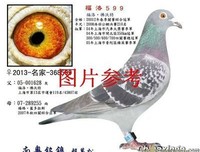 有关铭的摘抄的句子