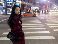 关于年心西五年等待候鸟的句子
