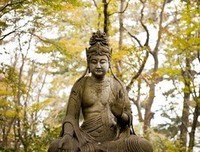 最全的 佛陀 名言大全