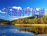 《我在等，等风等你来》好段摘抄大全