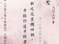 最全的白浅名言