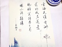有关苏轼的名言