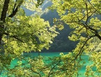 有关感觉的句子
