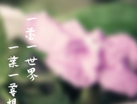 2018诗经名句欣赏