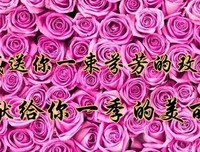 冬至，致我最牵挂的人！