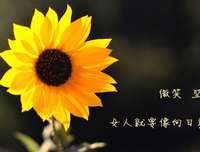 关于夏彤的唯美语录