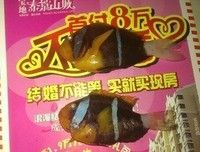 不为种立好下考为你种立去西道知好词好句