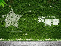 最全的《房间》经典语句