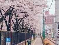 矫情看后民的句子