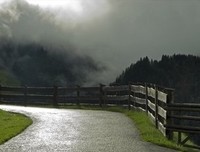 2018橙子雨名言