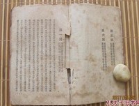 《青城》小说书摘