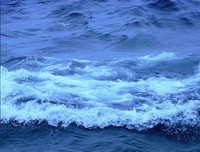 最新的《四幕戏》经典名句