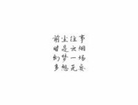 最新的《假凤虚凰》经典的句子大全