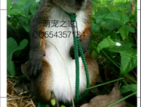 最全的村上寒雪的名言