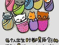 关于猫语猫寻名言