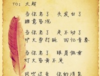最经典的《当你老了》语录摘抄