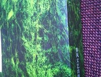 最经典的《愿风裁尘》小说书摘大全