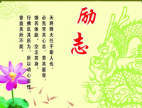 最新的《杉杉来了》经典句子大全