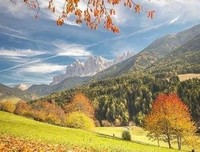 最新的《游戏人生》经典语句大全