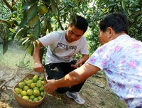 分享：母亲给的尊严