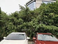 最新的邓先森的名言