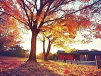 一路走来，懂了很多